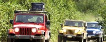 Antalya'da Safari Sezonu Açıldı !